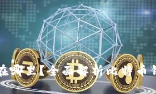 比特币钱包文件在哪里？全面解析比特币钱包的存储与管理