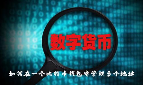 如何在一个比特币钱包中管理多个地址