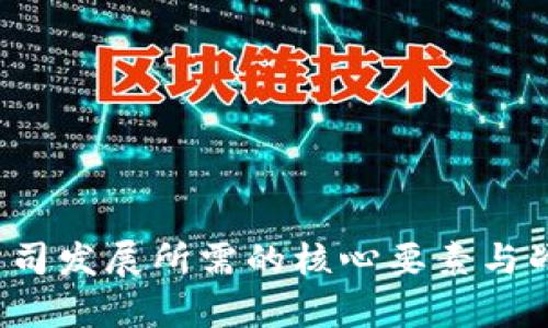 Web3公司发展所需的核心要素与战略分析