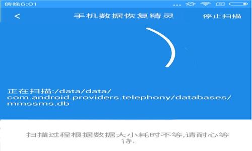 小狐狸钱包使用指南：详细教程与常见问题解答