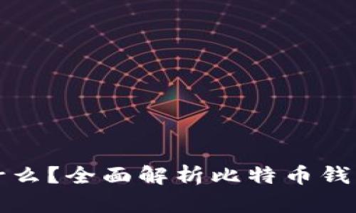 比特币钱包是什么？全面解析比特币钱包的类型与选择