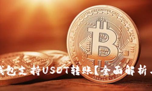 哪些钱包支持USDT转账？全面解析与推荐