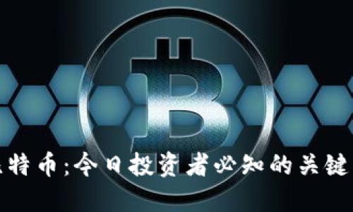 数字钱包与比特币：今日投资者必知的关键点与使用指南