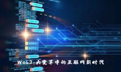 Web3：大变革中的互联网新