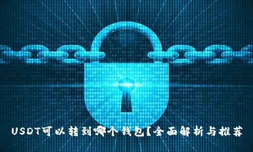 USDT可以转到哪个钱包？全面解析与推荐