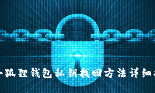 : 小狐狸钱包私钥找回方法详细指南