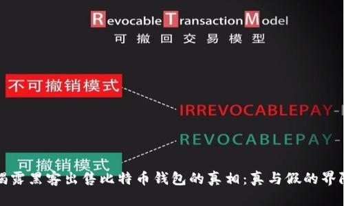 揭露黑客出售比特币钱包的真相：真与假的界限