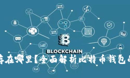 比特币钱包储存在哪里？全面解析比特币钱包的类型与安全性