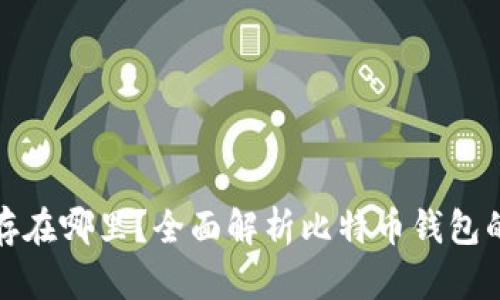 比特币钱包储存在哪里？全面解析比特币钱包的类型与安全性