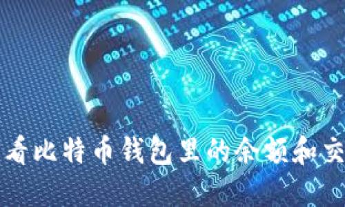 怎样查看比特币钱包里的余额和交易记录