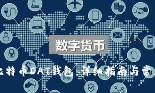 如何打开比特币DAT钱包：详细指南与常见问题解析